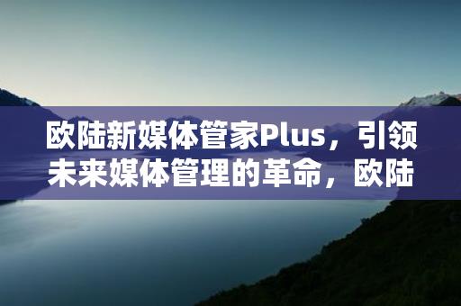 欧陆新媒体管家Plus，引领未来媒体管理的革命，欧陆新媒体管家Plus，引领媒体管理革命的先锋-情缘驿站：心灵交汇，情感共鸣的温馨港湾缩略图