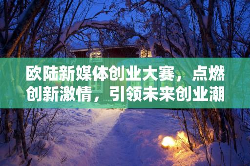 欧陆新媒体创业大赛，点燃创新激情，引领未来创业潮流，欧陆新媒体创业大赛，点燃创新激情，引领未来创业新浪潮插图